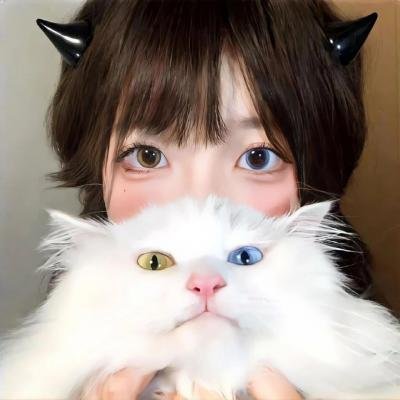 枪杀侠盗